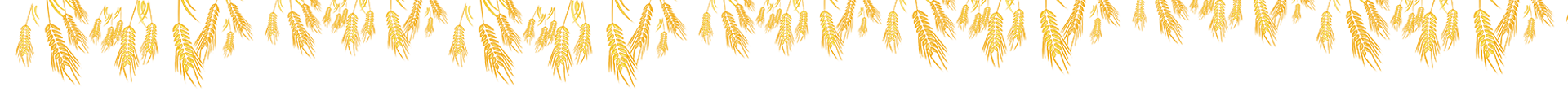 vector