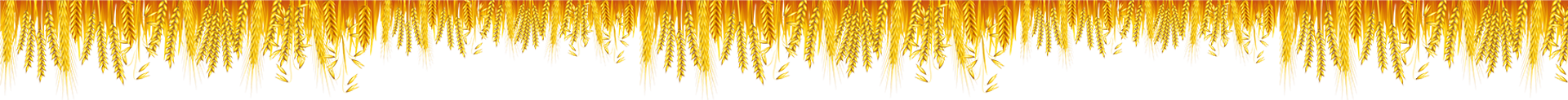 vector