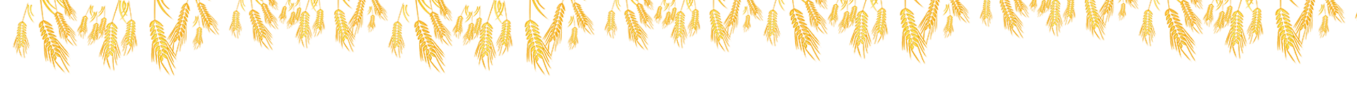 vector
