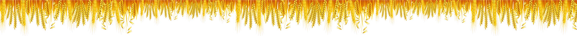 vector